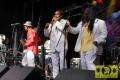 The Mighty Tamlins (Jam) with Lloyd Parks We The People Band 19. Reggae Jam Festival - Bersenbrueck 03. August 2013 (10).JPG